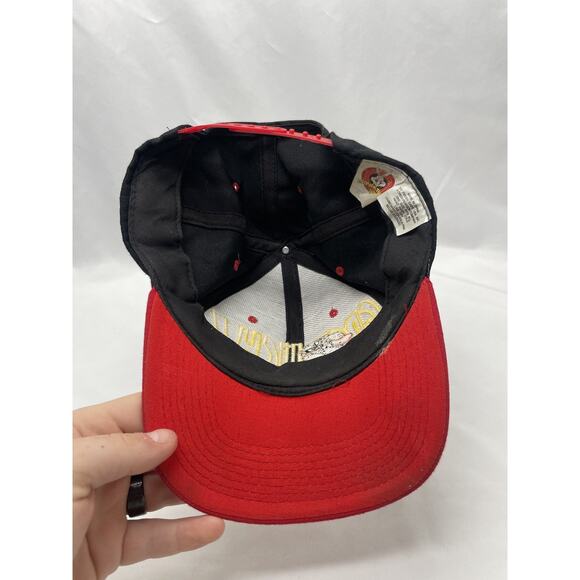 D3 Vintage 1997 Looney Tunes Taz “Grouch” Snapback Hat VTG Drew Pearson Retro - Picture 5 of 8